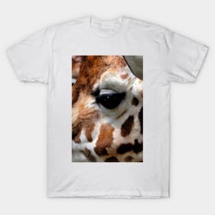 African Giraffe Amelopardalis Giraffa T-Shirt